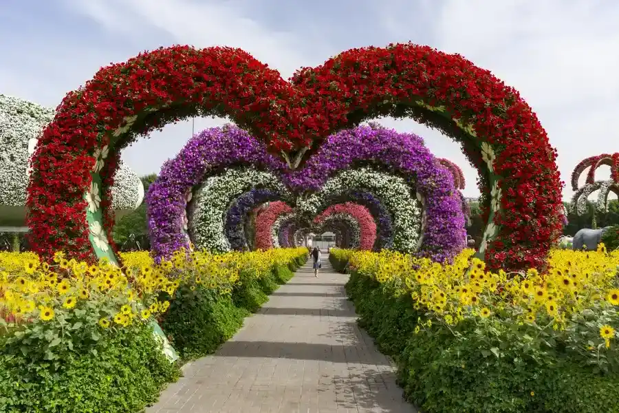 Excellent Landscape Installation Norwalk, CT Excellent Landscape Installation Norwalk, CT