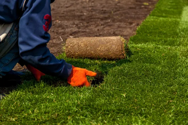 Choosing Gutter Guards To Preserve Landscaping Norwalk, CT Choosing Gutter Guards To Preserve Landscaping Norwalk, CT