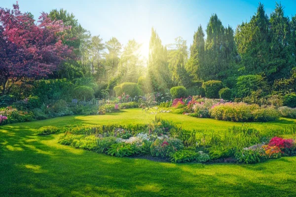 Superior Landscape Installation Norwalk, CT Superior Landscape Installation Norwalk, CT